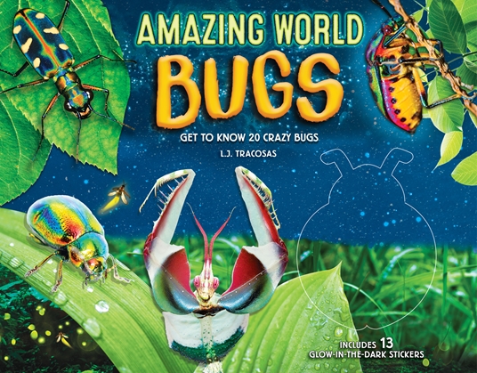 その他 World's Biggest &amp; Baddest Bugs [DVD] Amazon.co.jp: World's Biggest & Baddest Bugs [DVD] : DVD